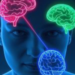 The Paradox of Choice: Neuroscience and Consumer Psychology in Modern Beauty