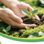 Sustainable Business Models: Profitability Meets Responsibility